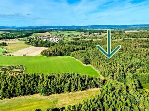 Prodej pozemku Lesy, 13 404 m², Lipí – náhled fotky 2