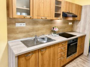 Pronájem bytu 2+1, 50 m², České Budějovice – náhled fotky 2
