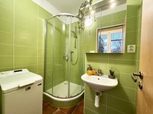 Pronájem bytu 2+1, 50 m², České Budějovice – náhled fotky 3