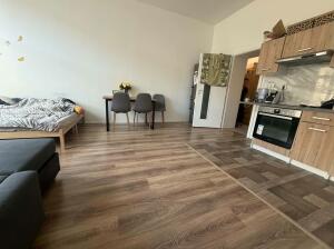 Pronájem bytu 2+kk, 65 m², Teplice – náhled fotky 3