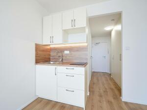 Pronájem bytu 1+kk, 23 m², Praha – náhled fotky 2